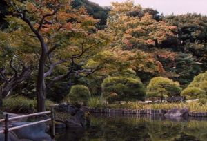 1459859_655654134474688_1438388184_n