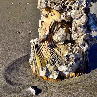 1551745_695336373839797_2137994869_n