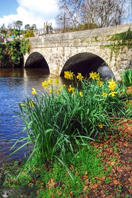 1379674_10152020908566623_397225867_n